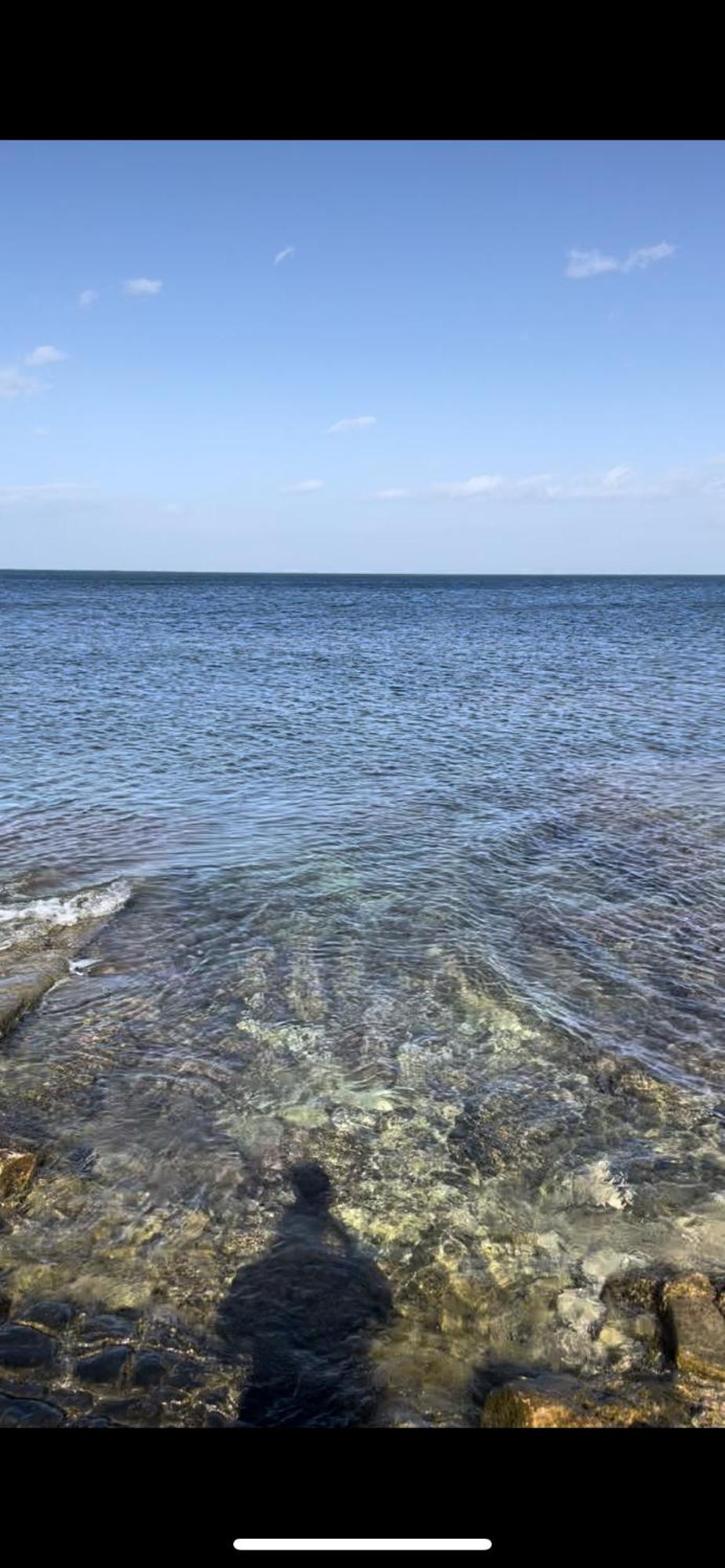 La Villetta Sul Mare バーリ エクステリア 写真